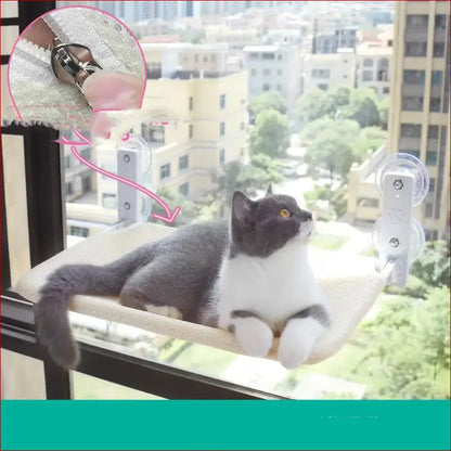 Cat Glass Hammock - Happy Pets