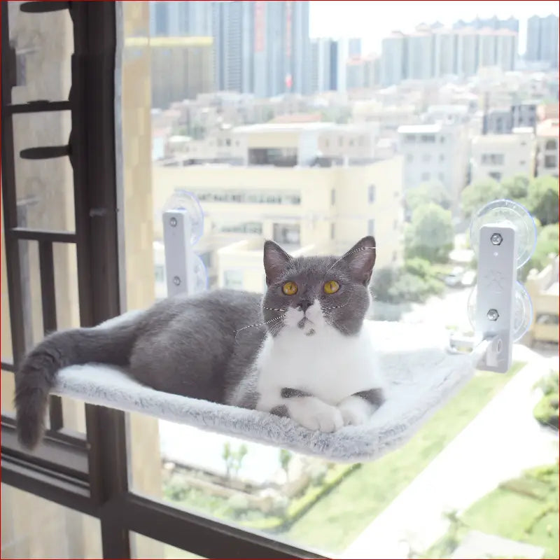 Cat suction cup window glass hammock pet cat pets products -