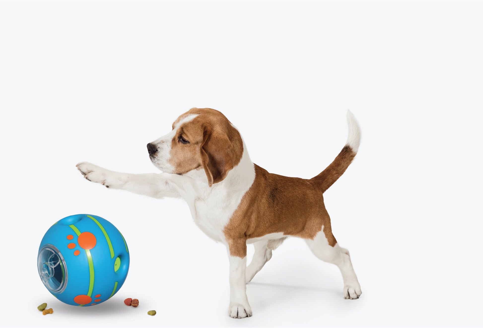 Interactive Giggle Treat Ball for Dogs Fun Reward Dispenser