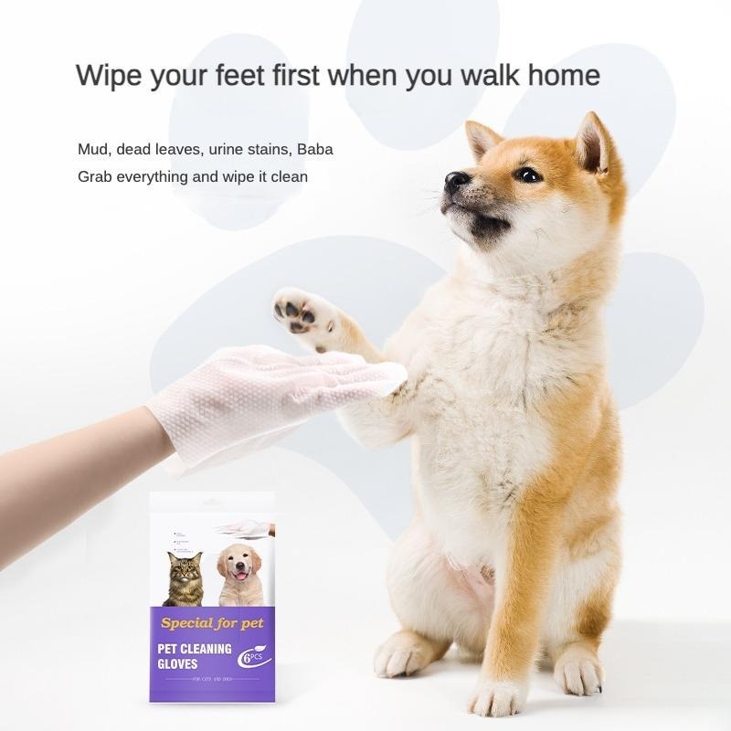 Dog cleaning with Pet Cleaning & Deodorizing Glove Wipes – Effectively removes mud, dead leaves, urine stains, and saliva