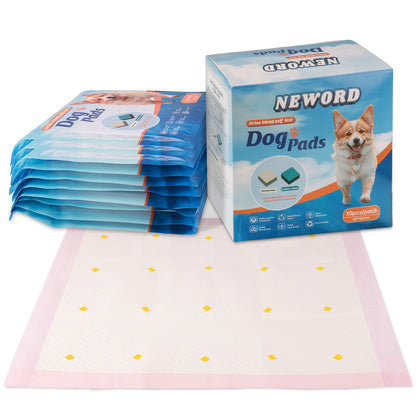 Box of Dog Detection Urine Pads with 10 pieces, each measuring 60x60 cm, displayed alongside the packaging to showcase the product size and quantity.