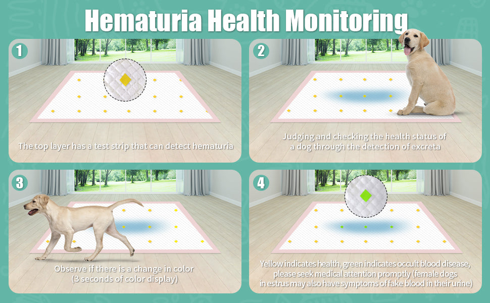 Step-by-step guide for using the Dog Detection Urine Pad for hematuria health monitoring, helping pet owners easily detect blood in their pet's urine