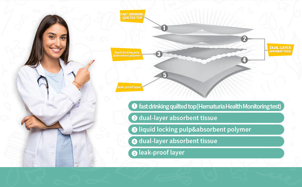 Veterinarian showcasing the 5 key benefits of the Dog Detection Urine Pad, including easy blood detection, leak-proof design, and hygienic monitoring