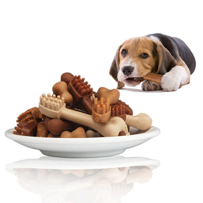 A dog happily eating a natural dog snack, designed to help remove tartar and plaque buildup, promoting dental health. Perfect for adult dogs