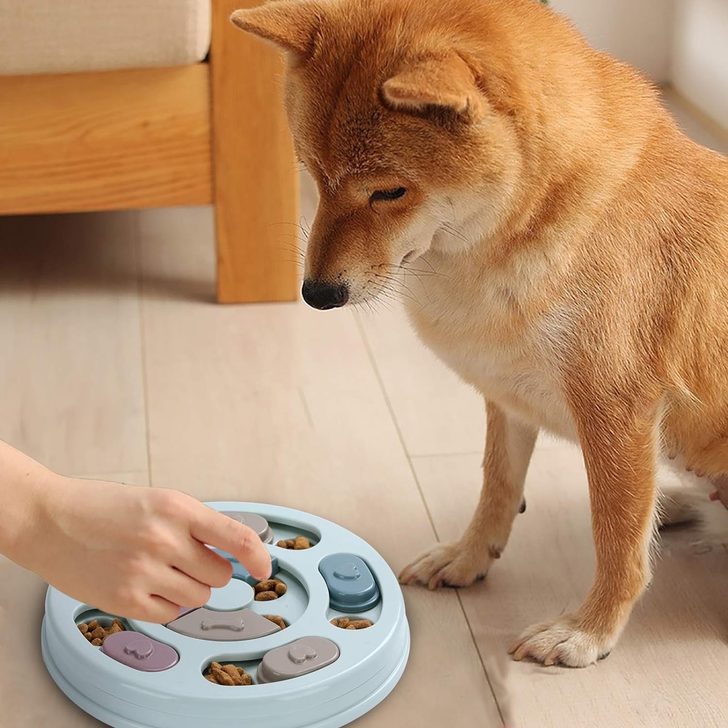 Interactive dog puzzle feeder toy for mental enrichment and slow feeding dog eating
