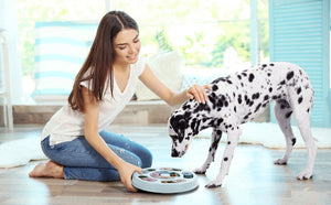 Interactive dog puzzle feeder toy for mental enrichment and slow feeding woman playing with her dog 