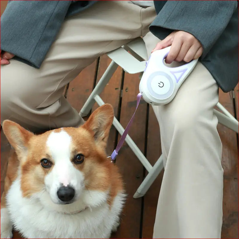 Dog leash retractable and dog collar spotlight automatic pet