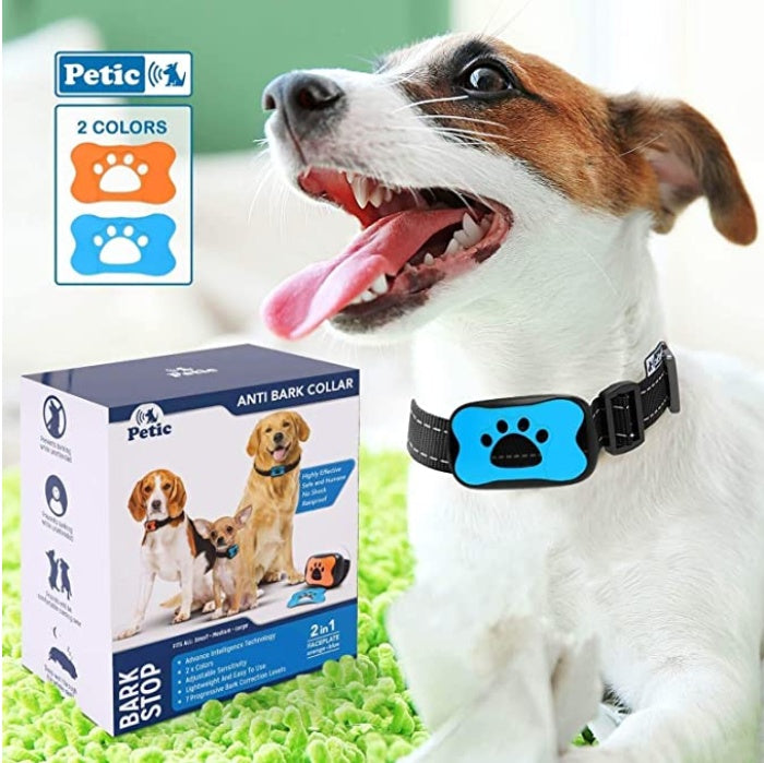 Dog wearing a blue bark control collar, showcasing its comfortable fit and effectiveness