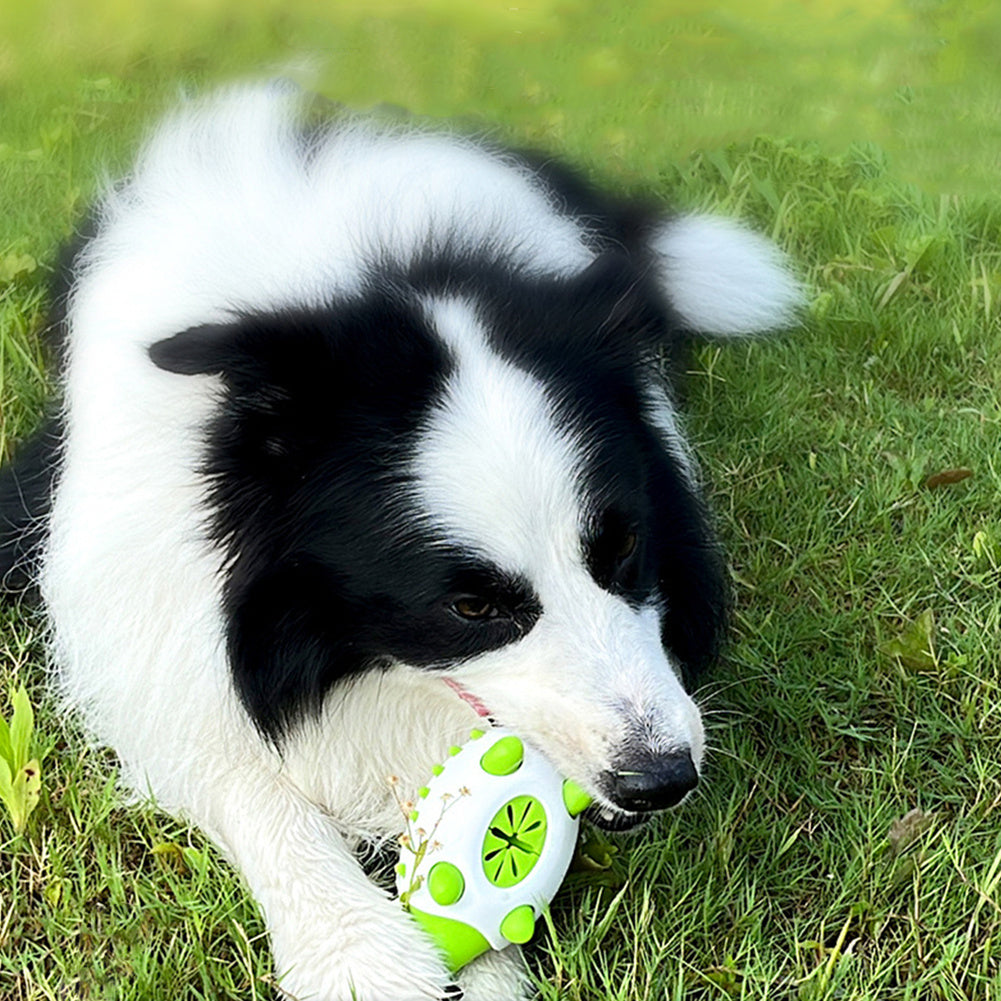 Durable dog chew toy for teething, treat dispensing, and dental cleaning – ideal for puppies and aggressive chewers of all sizes dog playing on the grass