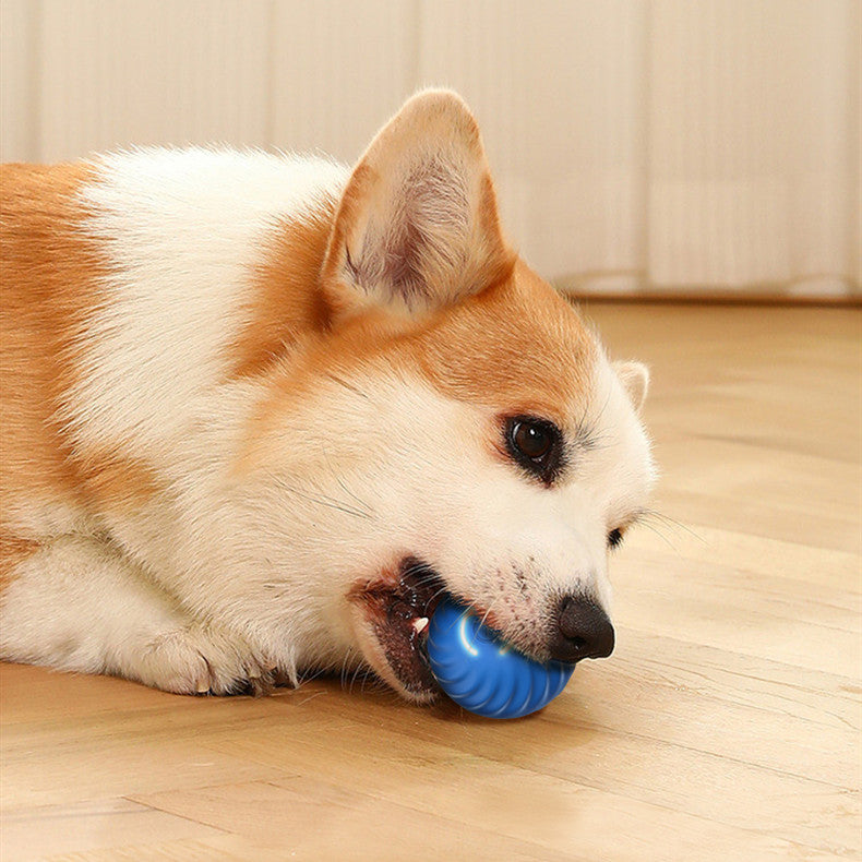 Durable rubber dog chew ball toy in blue and orange for aggressive chewers and training dog playing