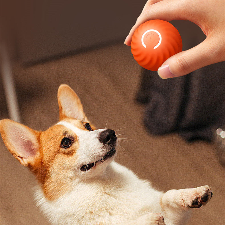 Durable rubber dog chew ball toy in blue and orange for aggressive chewers and training dog playing with a woman