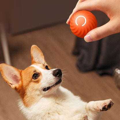 Durable rubber dog chew ball toy in blue and orange for aggressive chewers and training dog playing with a woman