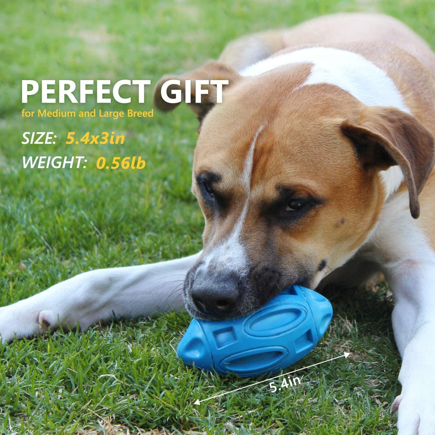 Durable rubber dog chew ball with squeaker for teething puppies and aggressive chewers perfect gift and size