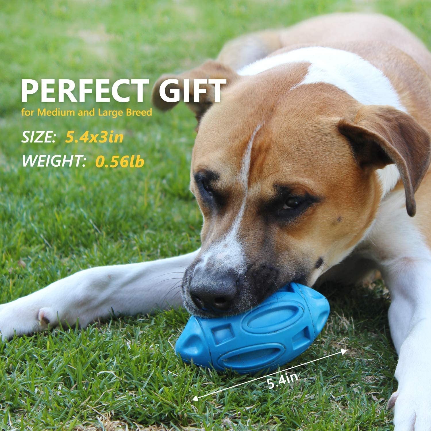 Durable rubber dog chew ball with squeaker for teething puppies and aggressive chewers perfect gift and size