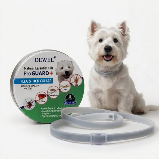 Dog wearing a flea and tick collar with packaging on a white background