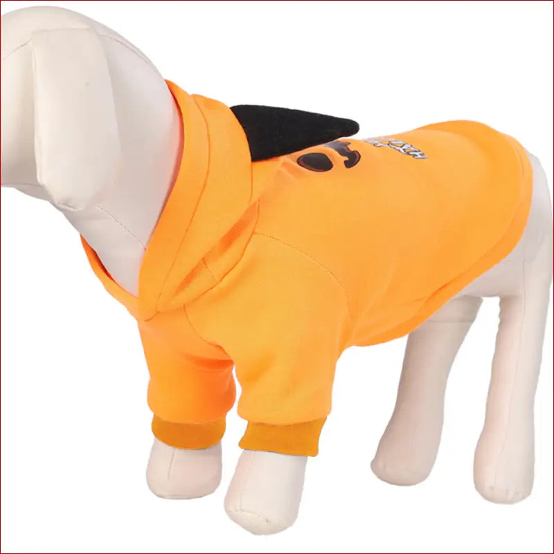 Halloween clothes for pets - pet