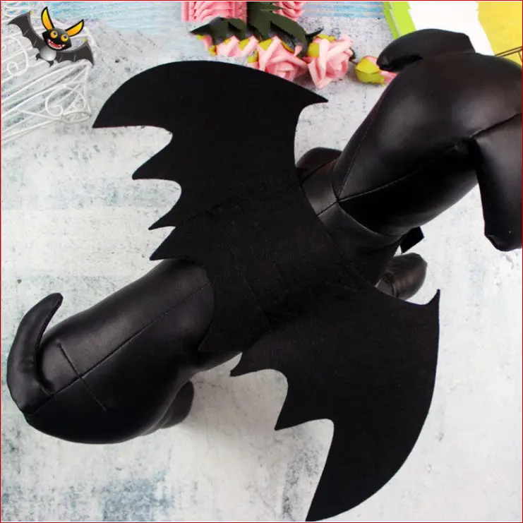 Halloween costume pet/ bat wing /halloween clothes cat