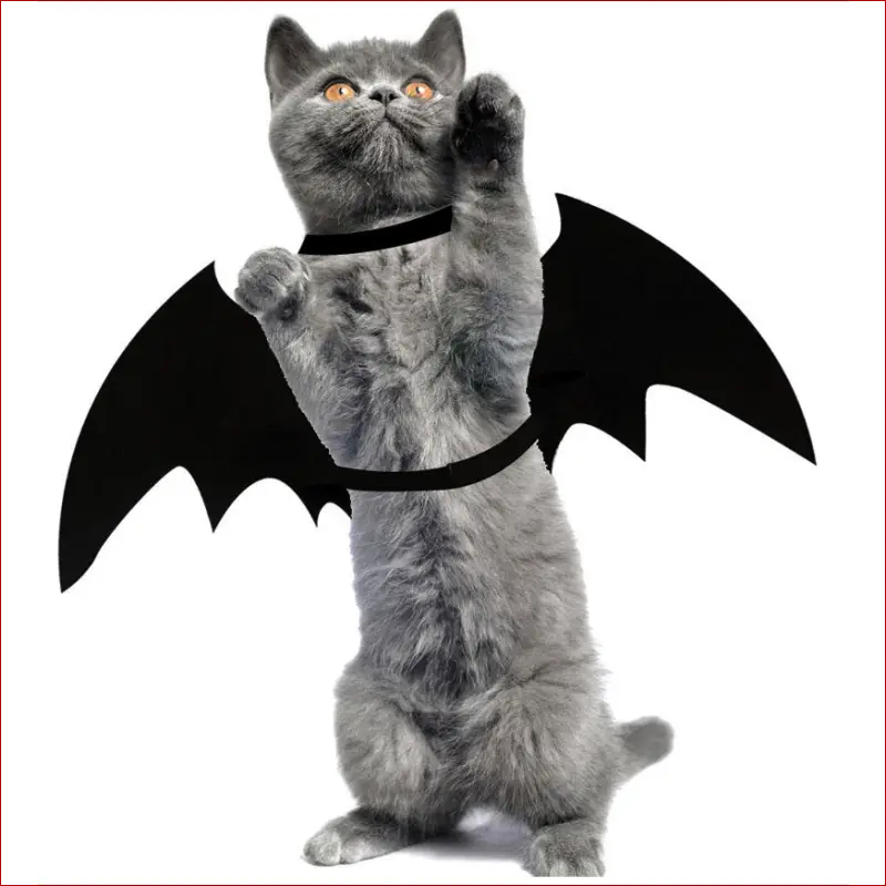 Halloween costume pet/ bat wing /halloween clothes cat