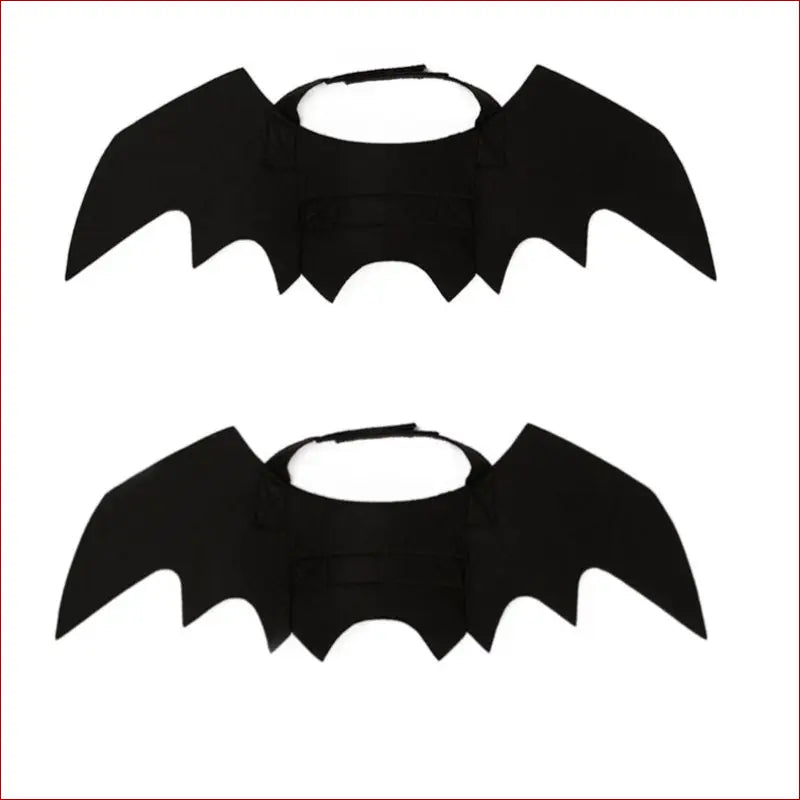 Halloween costume pet/ bat wing /halloween clothes cat