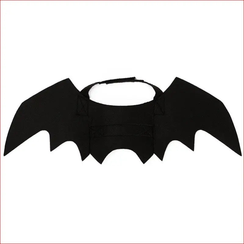 Halloween costume pet/ bat wing /halloween clothes cat