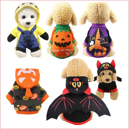 Halloween Pet Clothing. "Fun and Colorful Pet Costumes: A Variety for Every Occasion" - Happy Pets