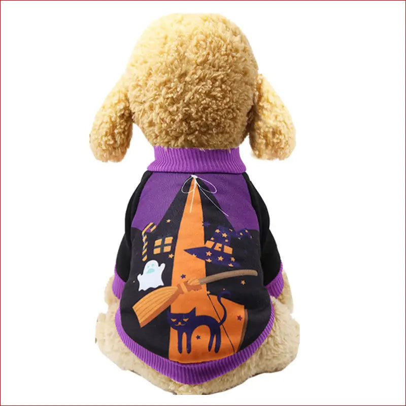 Halloween funny pet clothes - Purple / L