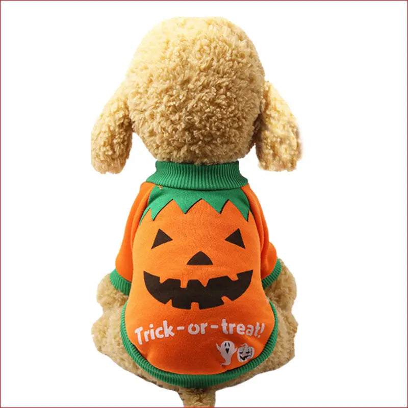 Halloween funny pet clothes - Yellow / L