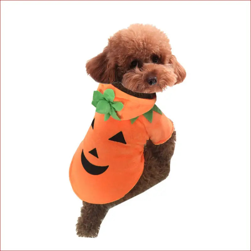 Halloween pet clothes /pumpkin demon transformation costume