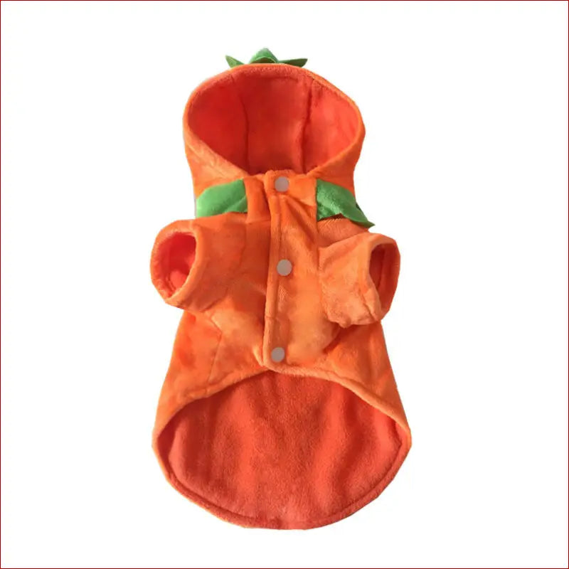 Halloween pet clothes /pumpkin demon transformation costume