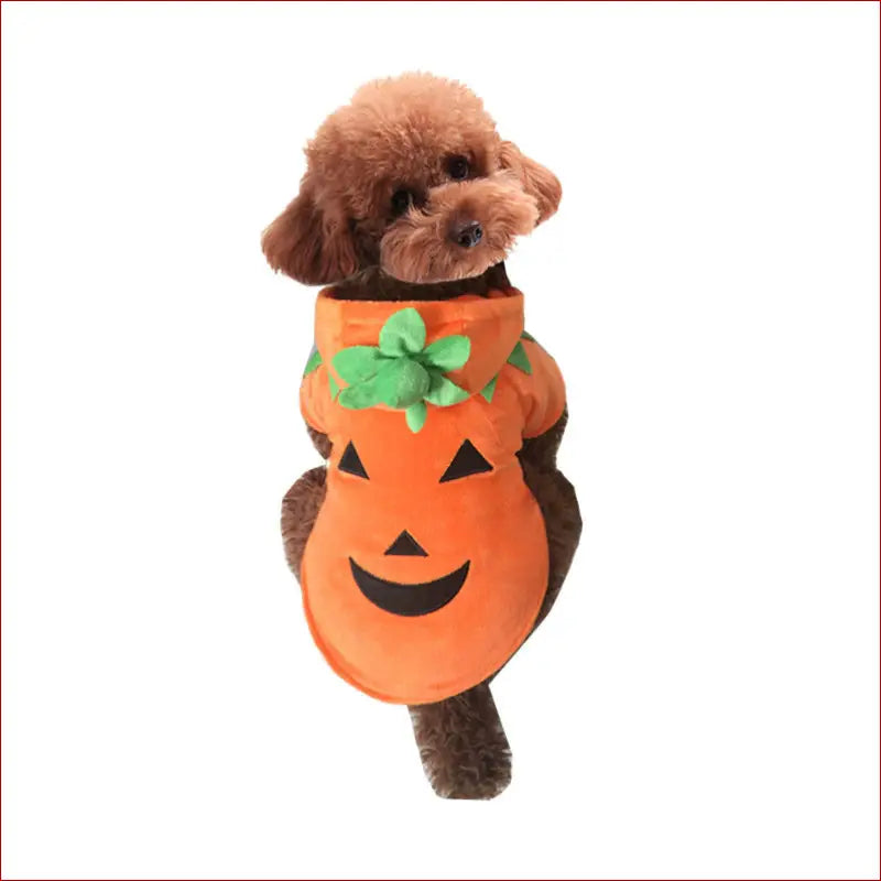 Halloween pet clothes /pumpkin demon transformation costume