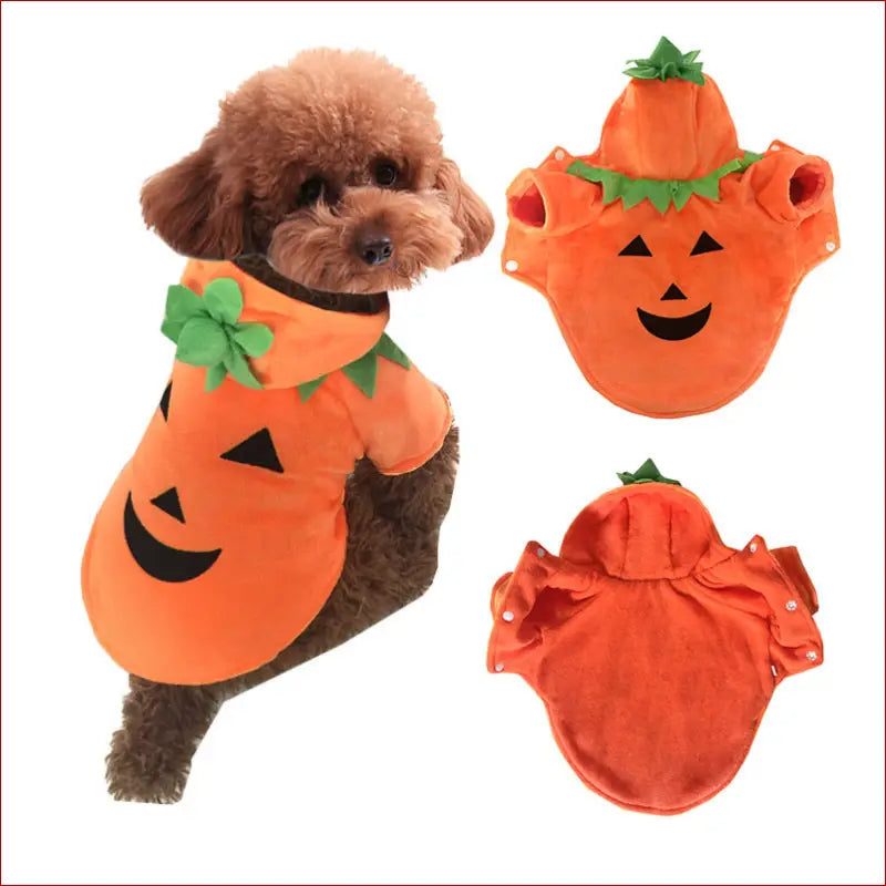 Halloween pet clothes /pumpkin demon transformation costume