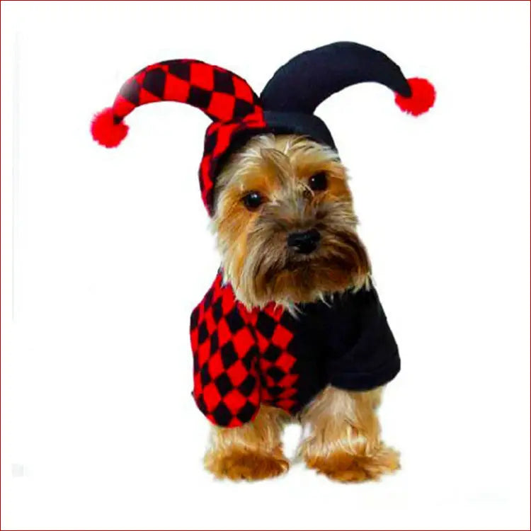 Halloween pet costume/funny clown - Black red / L -