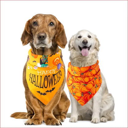 Halloween Pet Saliva Towel – Spooky and Practical Pet Accessory. - Happy Pets