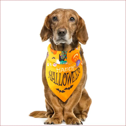 Halloween Pet Saliva Towel – Spooky and Practical Pet Accessory. - Happy Pets