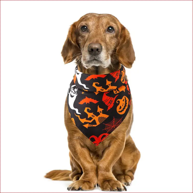 Halloween pet saliva towel - Black - accesories