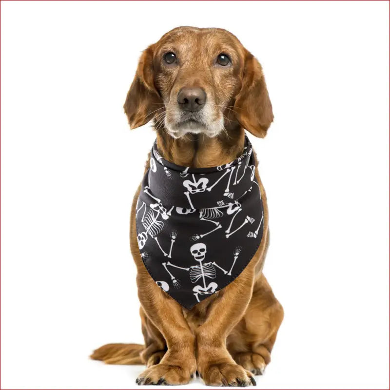 Halloween pet saliva towel - Skeleton - accesories