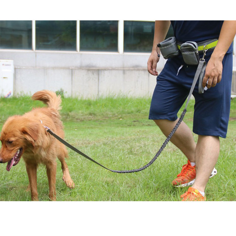 Man jogging with his dog using the hands-free running traction set, featuring a retractable leash and adjustable waist belt