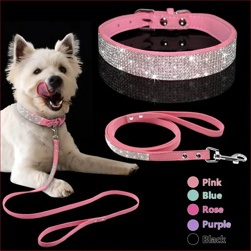 Dog collar. Shiny diamond pattern collar. Pet accessories. - Happy Pets