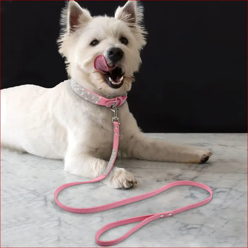 Dog collar. Pet accessories. Pink / M 