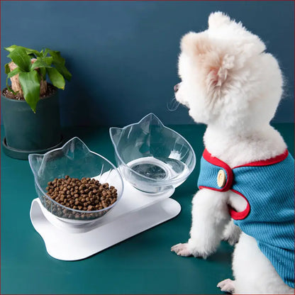 Inclined food bowl. Single pet bowl. - Happy Pets