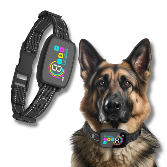 Smart dog collar with digital display on a white background