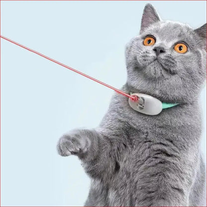 Interactive cat toy. Smart pet collar. Pet Toys. - Happy Pets