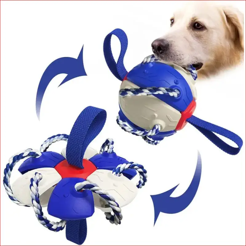 Interactive dog football soccer ball-canine sports - Dog