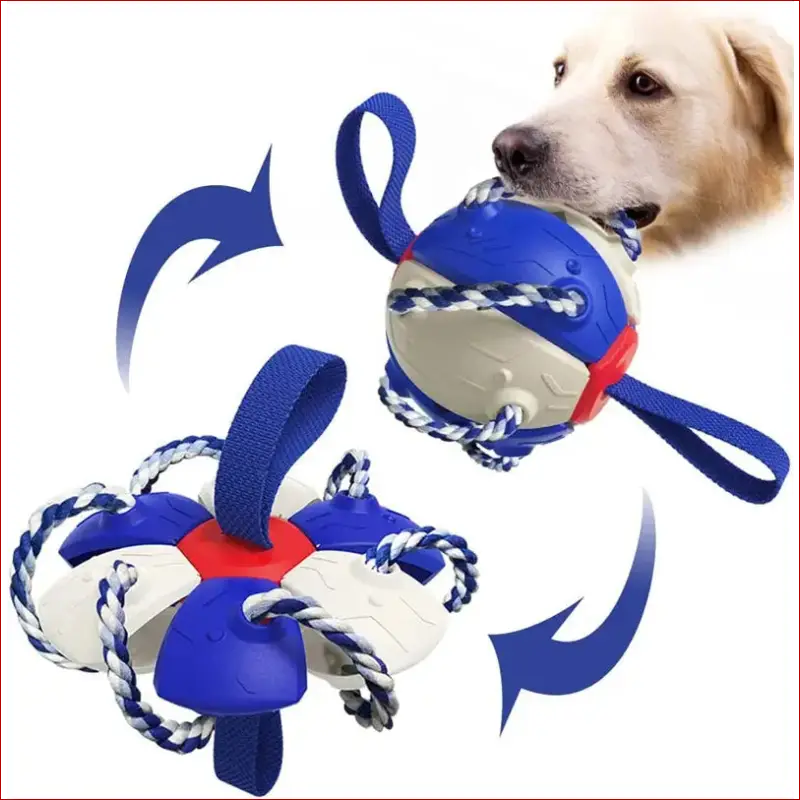 Interactive dog soccer ball