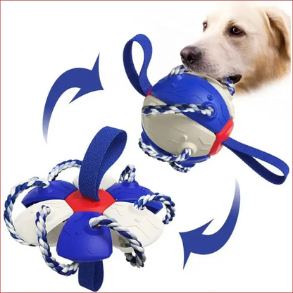 Interactive dog soccer ball. Canine sports. Pet Supplies. - Happy Pets