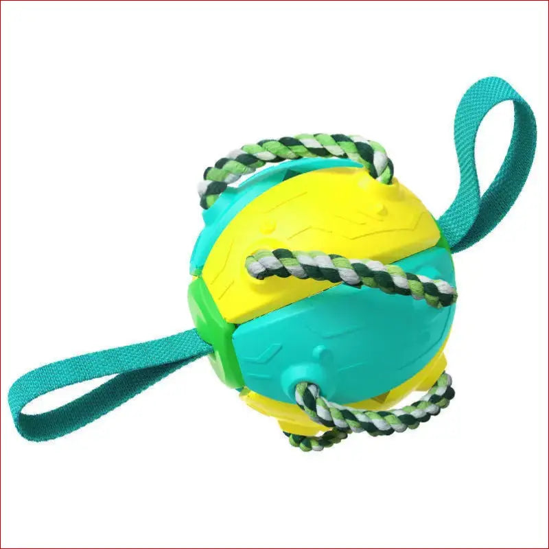 Interactive dog football soccer ball-canine sports - Blue