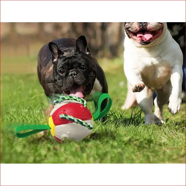 Interactive dog soccer ball