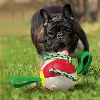 Interactive Dog Soccer Ball – Fun Outdoor Toy for Active Pets