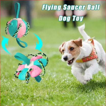 Interactive dog soccer ball. Canine sports. Pet Supplies. - Happy Pets