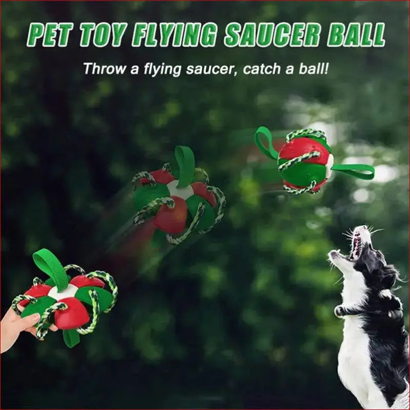 Interactive dog soccer ball